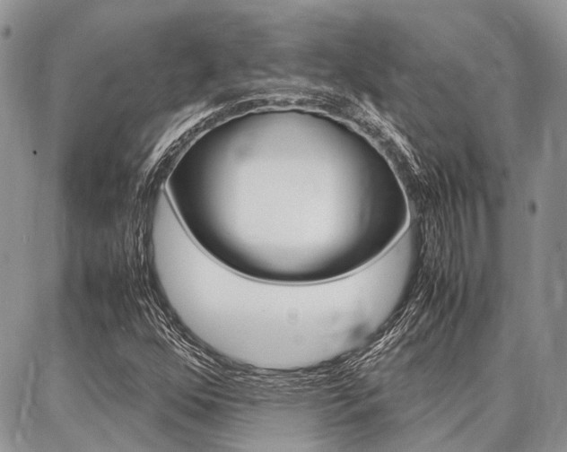 X0000087371352200704200807
