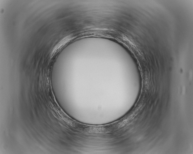 X0000087371354200704200807