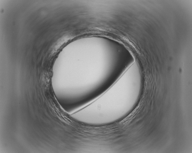 X0000087371355200704200807