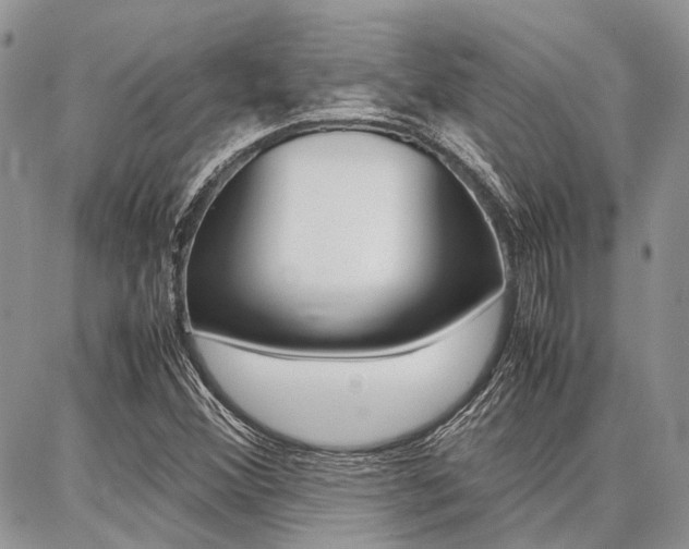 X0000087371356200704200807
