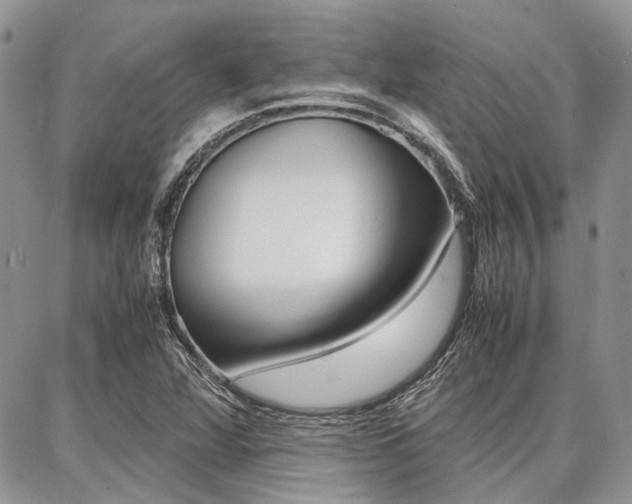 X0000087371360200704200807