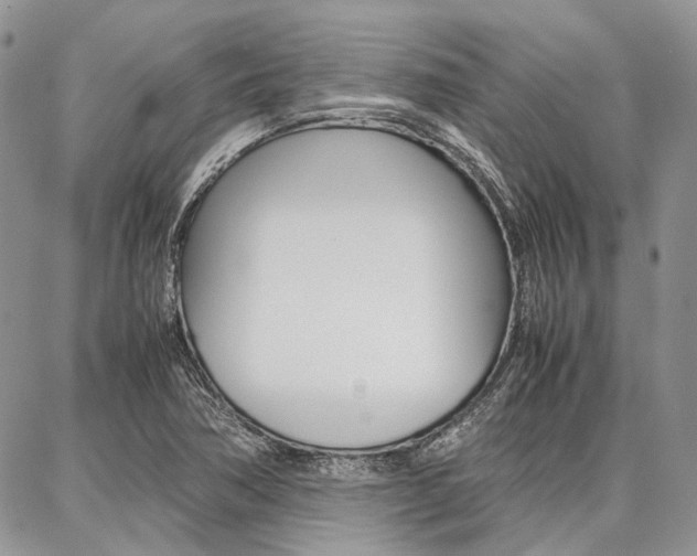 X0000087371362200704200807