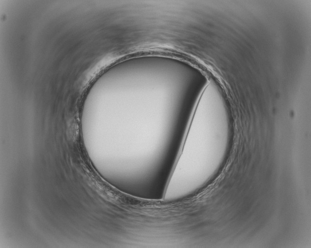 X0000087371363200704200807