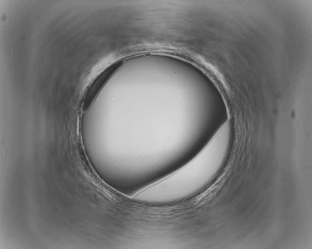 X0000087371365200704200807