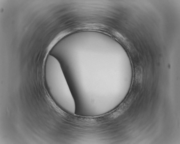 X0000087371370200704200807