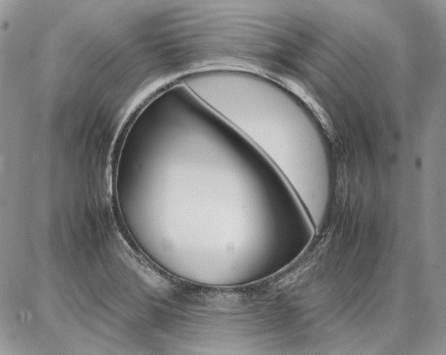 X0000087371372200704200807