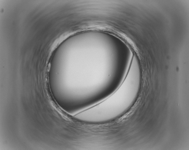 X0000087371373200704200807