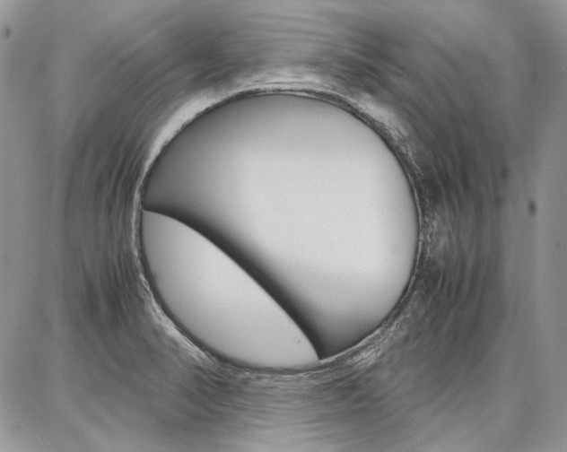 X0000087371374200704200807