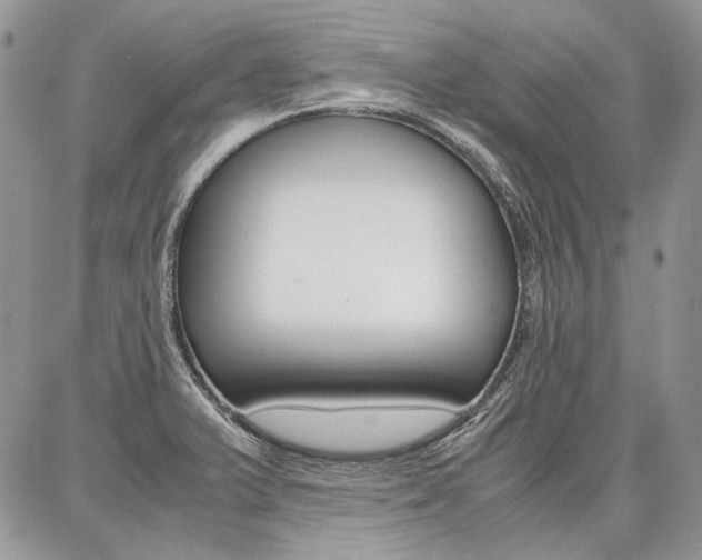 X0000087371375200704200807