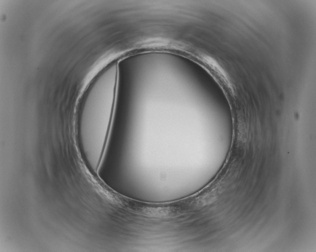 X0000087371376200704200807
