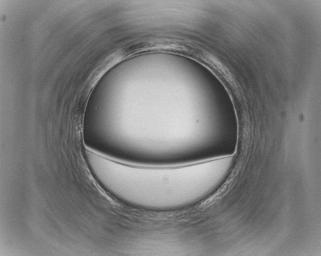 X0000087371377200704200807