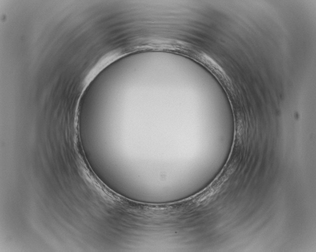 X0000087371378200704200807