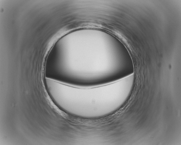 X0000087371379200704200807