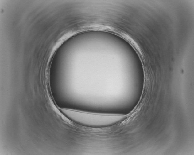 X0000087371381200704200807