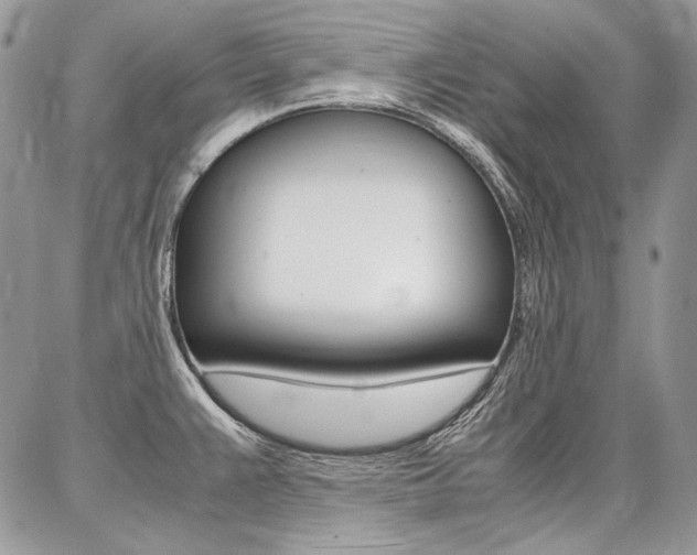 X0000087371383200704200807