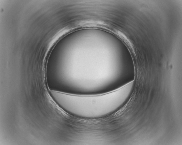 X0000087371384200704200807
