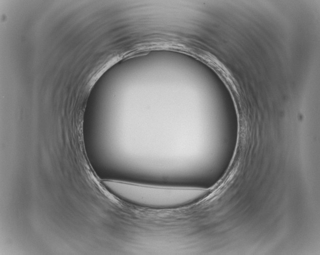 X0000087371385200704200807