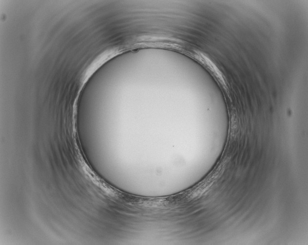 X0000087371386200704200807