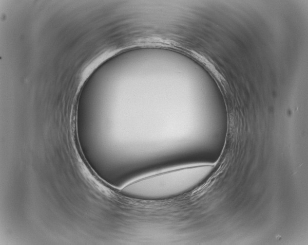 X0000087371387200704200807