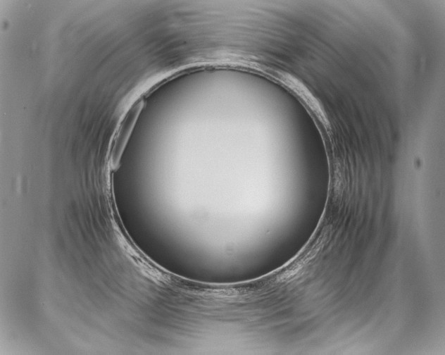 X0000087371388200704200807