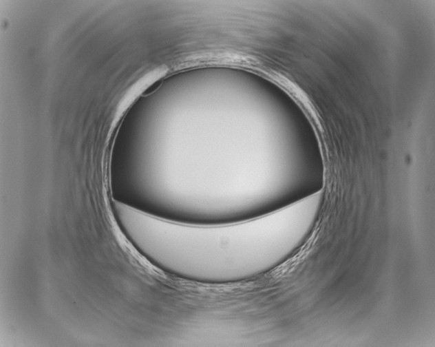 X0000087371389200704200807