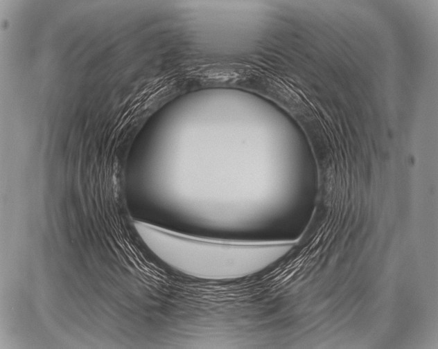 X0000087371394200704200806