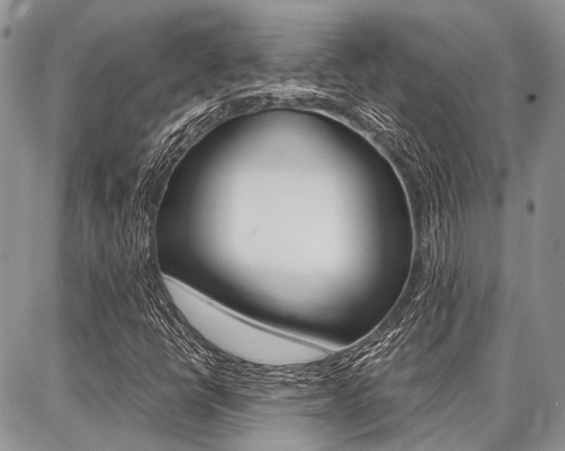 X0000087371398200704200806