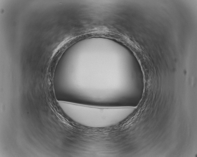 X0000087371400200704200806