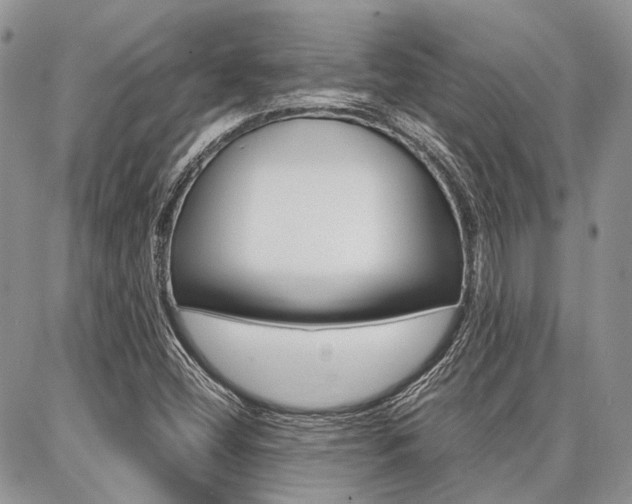 X0000087371404200704200806
