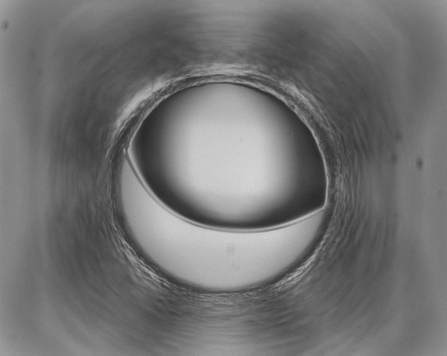 X0000087371406200704200806