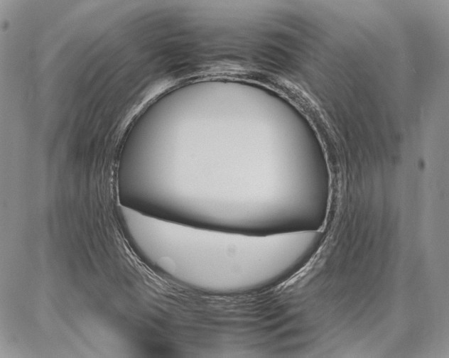 X0000087371409200704200806