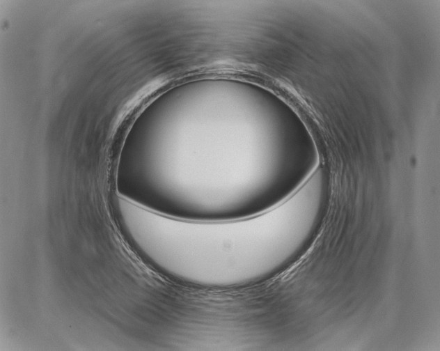 X0000087371410200704200806