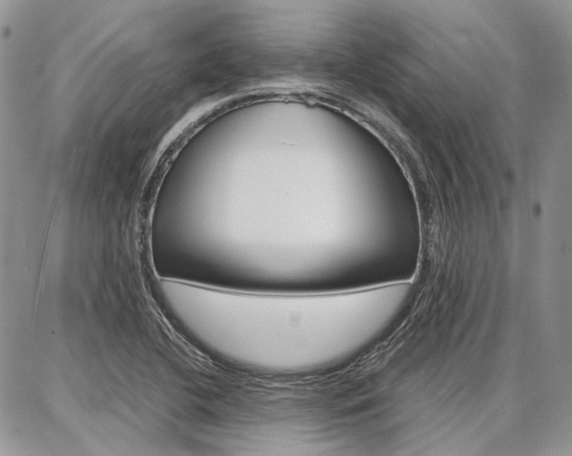 X0000087371412200704200806