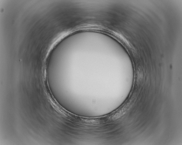 X0000087371413200704200806