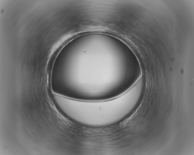 X0000087371414200704200806