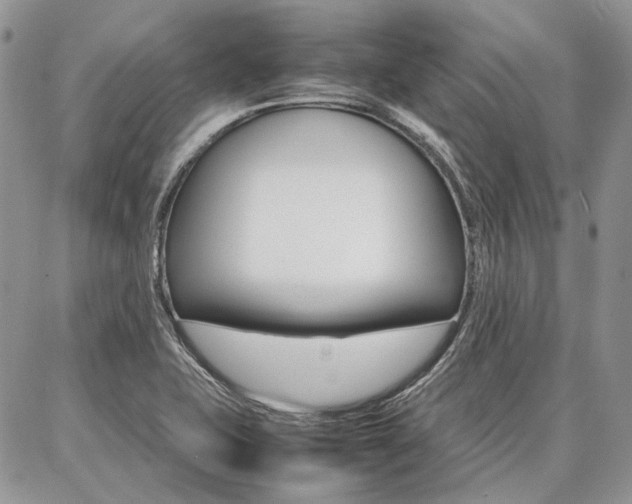 X0000087371415200704200806