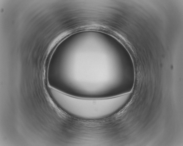 X0000087371418200704200806