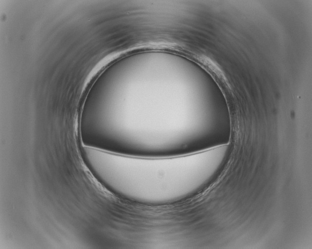 X0000087371420200704200806