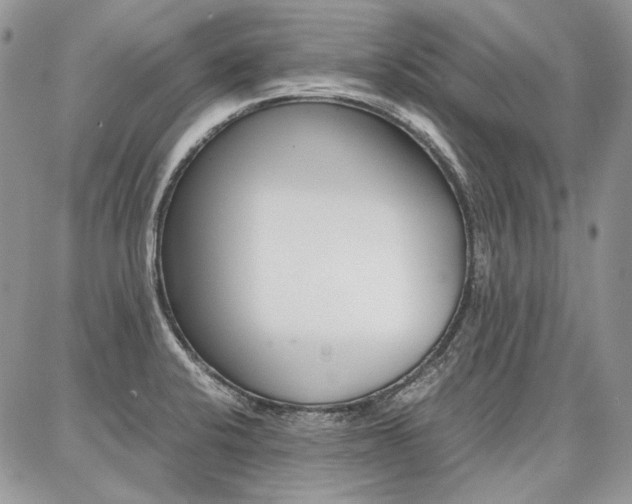 X0000087371424200704200806