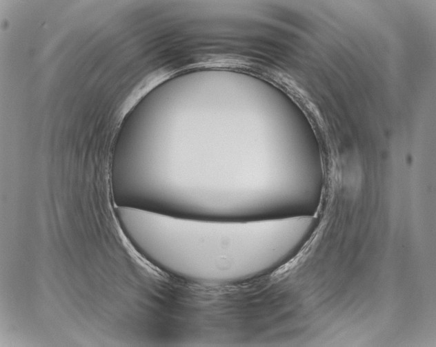 X0000087371425200704200806