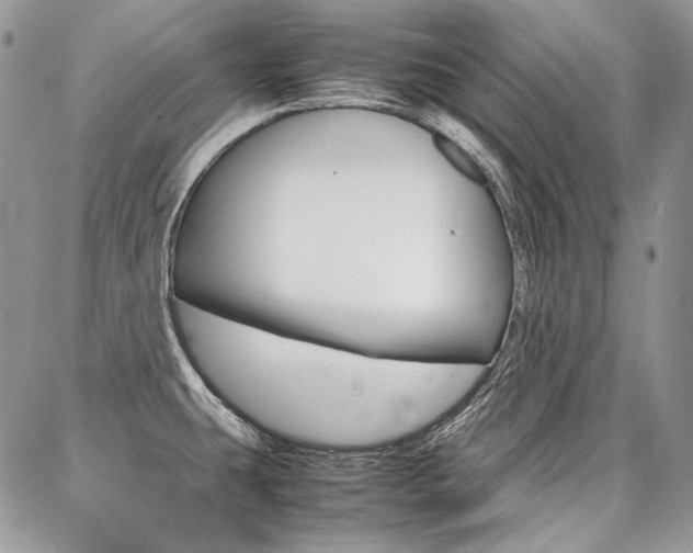 X0000087371431200704200806