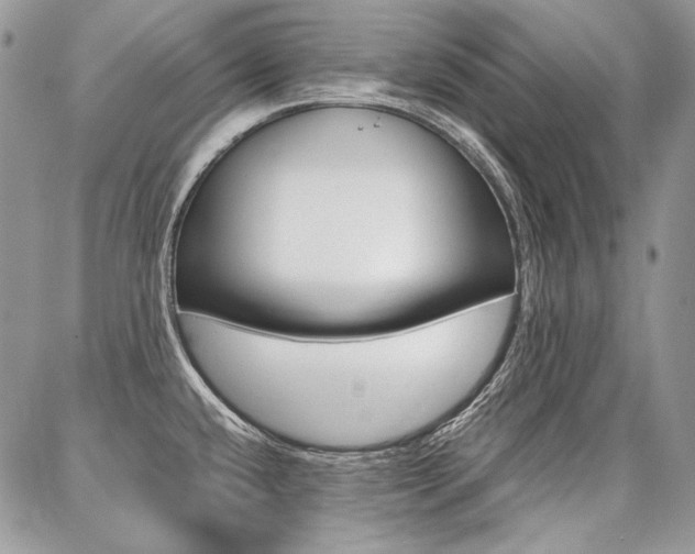 X0000087371432200704200806