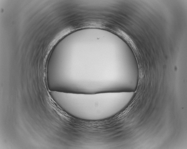 X0000087371435200704200806
