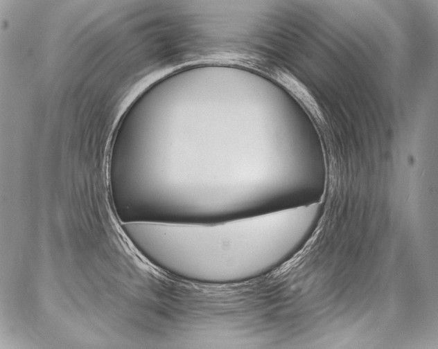 X0000087371436200704200806