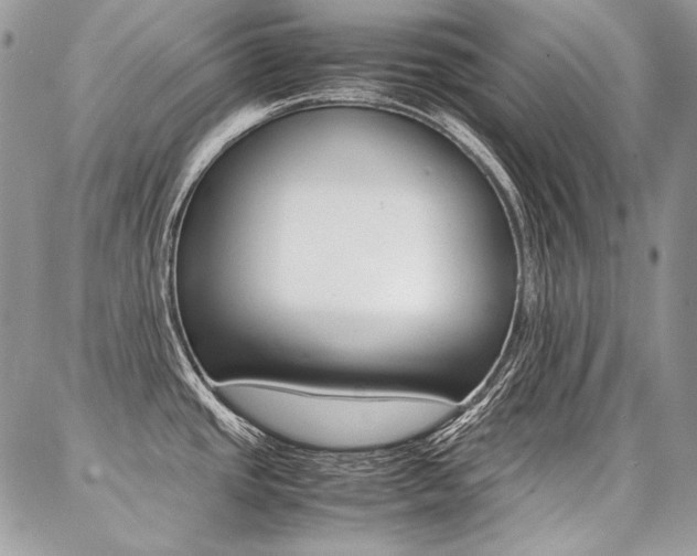 X0000087371437200704200806