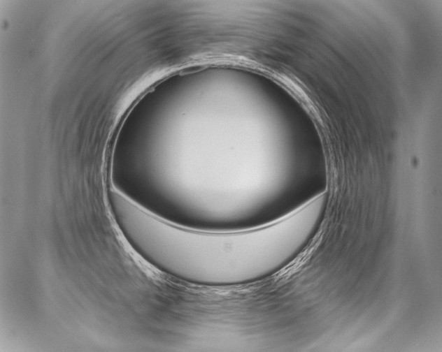 X0000087371438200704200806