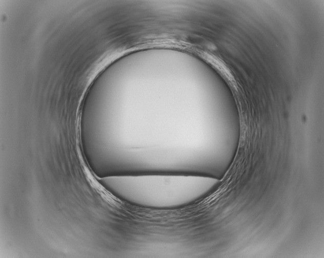 X0000087371439200704200806