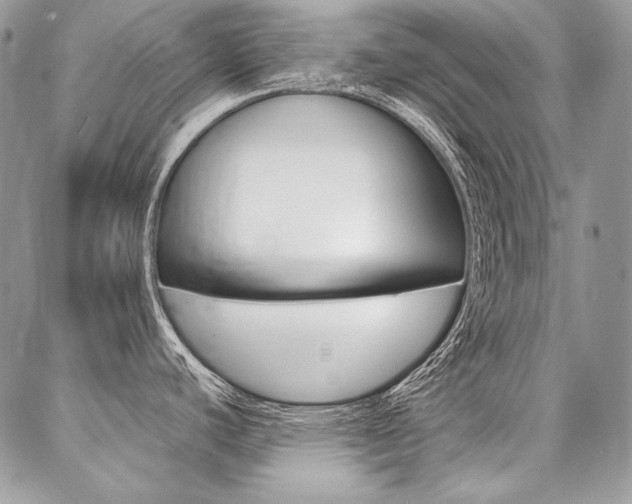 X0000087371440200704200806