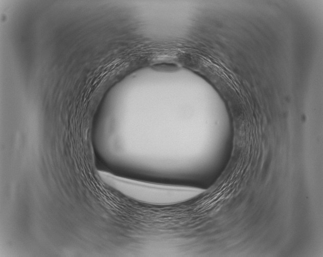 X0000087371441200704200806