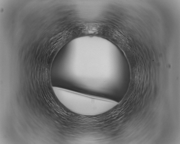 X0000087371442200704200806